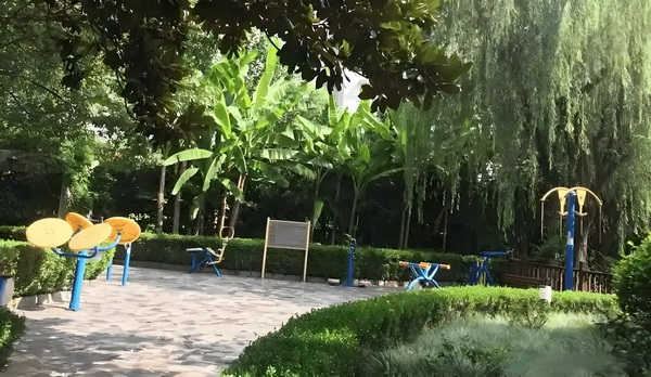 明星梦可以有，但不能是因为不想上学